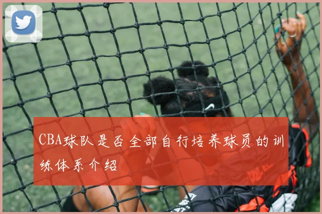 CBA球队是否全部自行培养球员的训练体系介绍