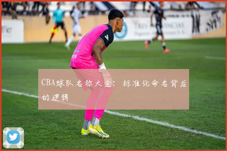 CBA球队名称大全：标准化命名背后的逻辑