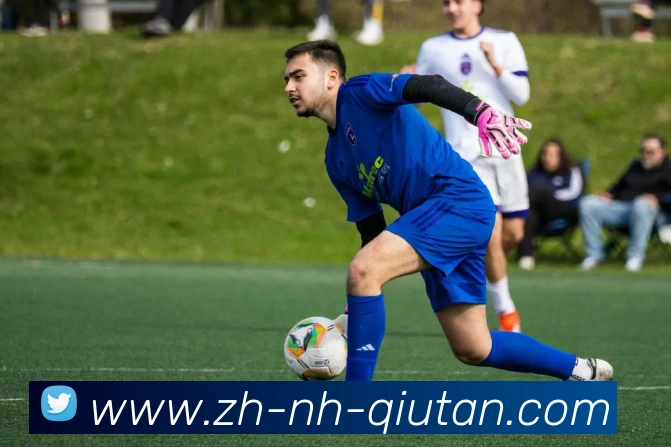 球探体育平台生态图